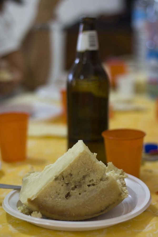 casu marzu cheese