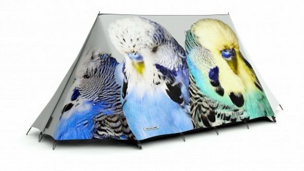 creative tent shelter design