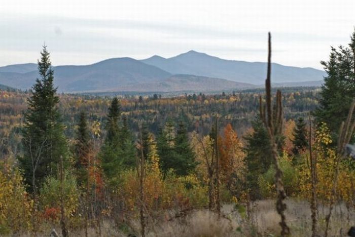 House to survive, Adirondack State Park, New York, United States