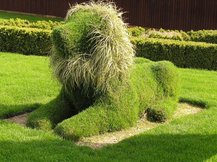 garden topiary plant art