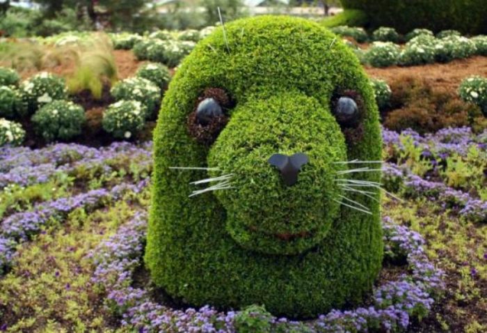 garden topiary plant art