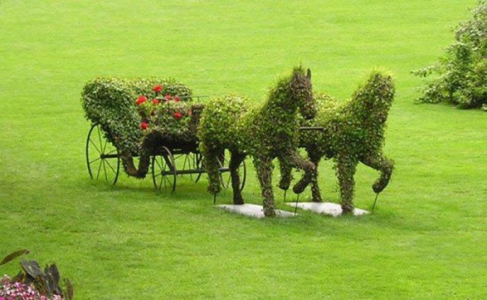 garden topiary plant art