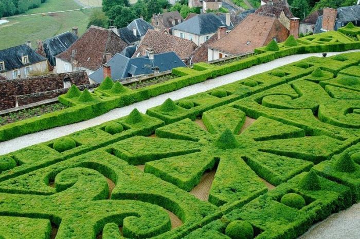 garden topiary plant art