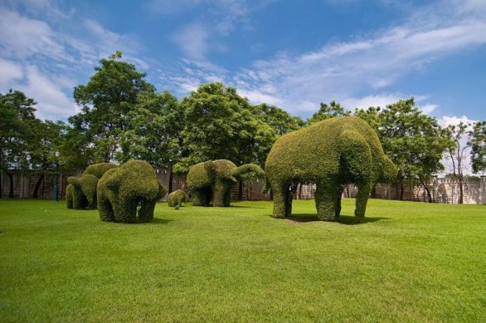 garden topiary plant art