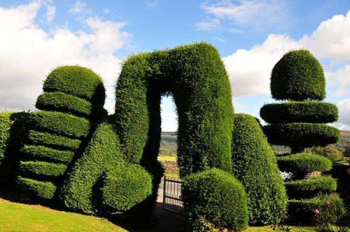 garden topiary plant art