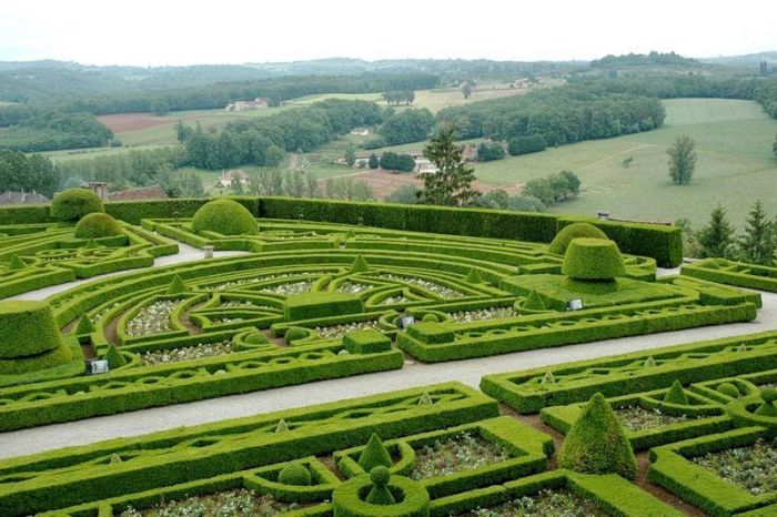 garden topiary plant art