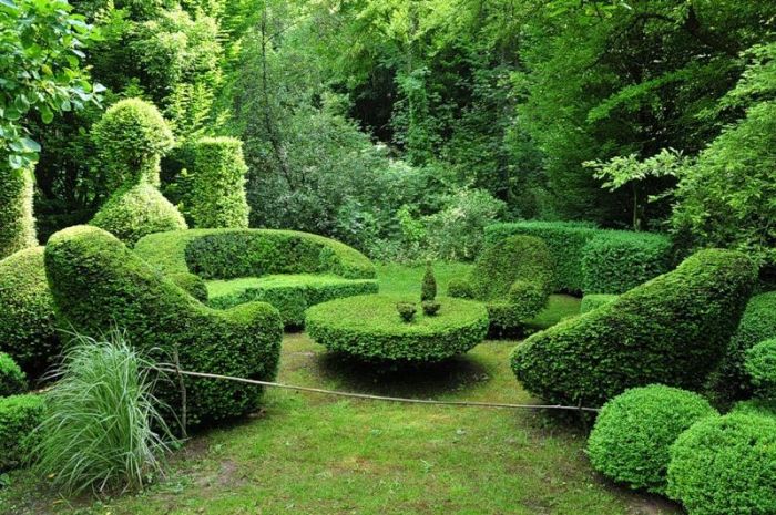 garden topiary plant art