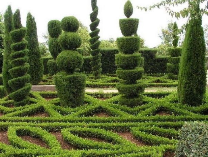 garden topiary plant art