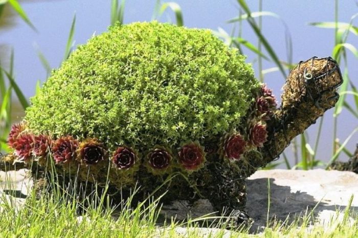 garden topiary plant art