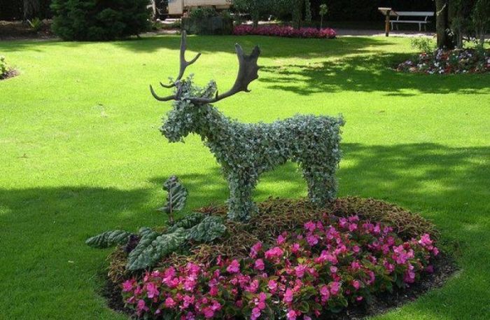 garden topiary plant art