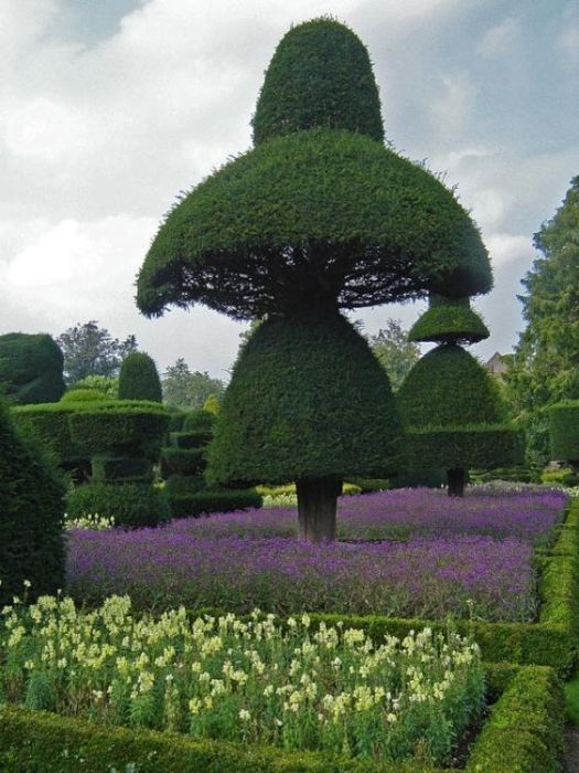 garden topiary plant art