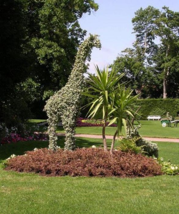 garden topiary plant art