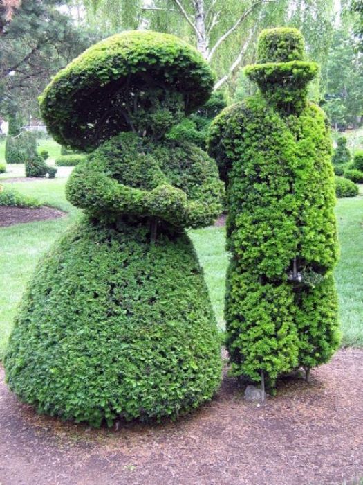 garden topiary plant art