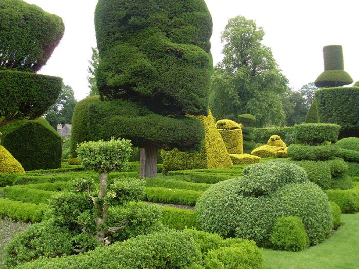 garden topiary plant art