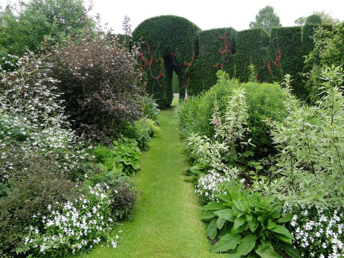 garden topiary plant art