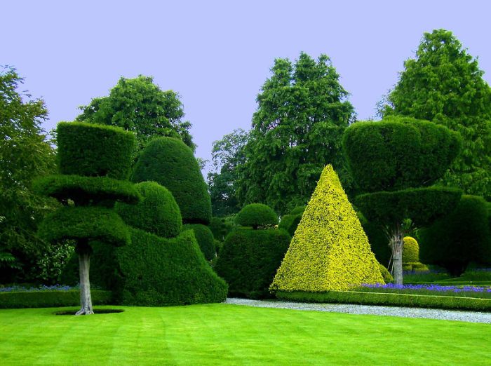 garden topiary plant art