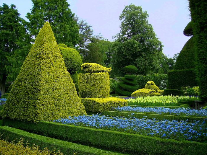 garden topiary plant art