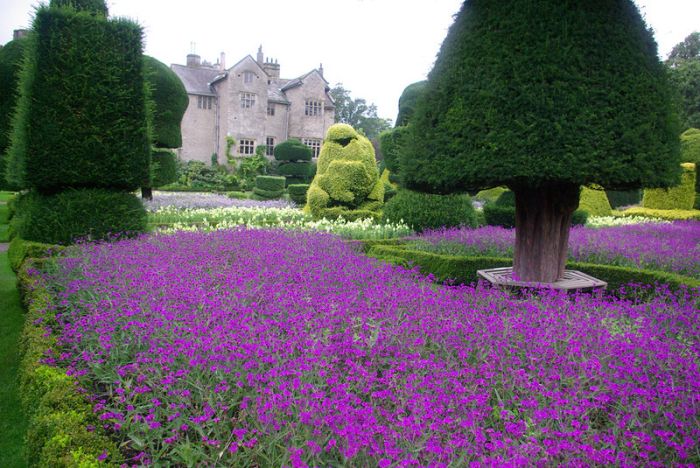 garden topiary plant art