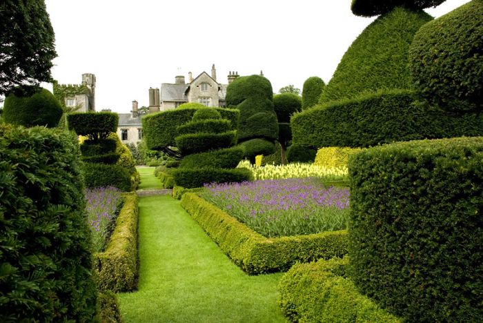 garden topiary plant art