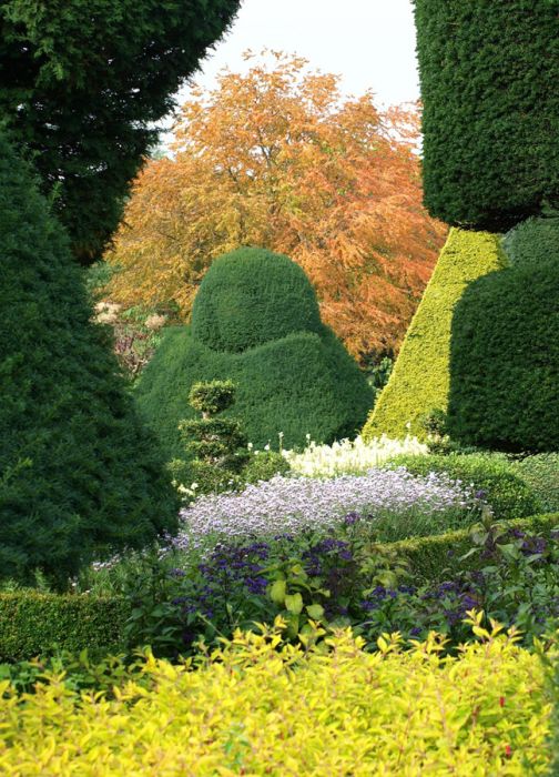 garden topiary plant art