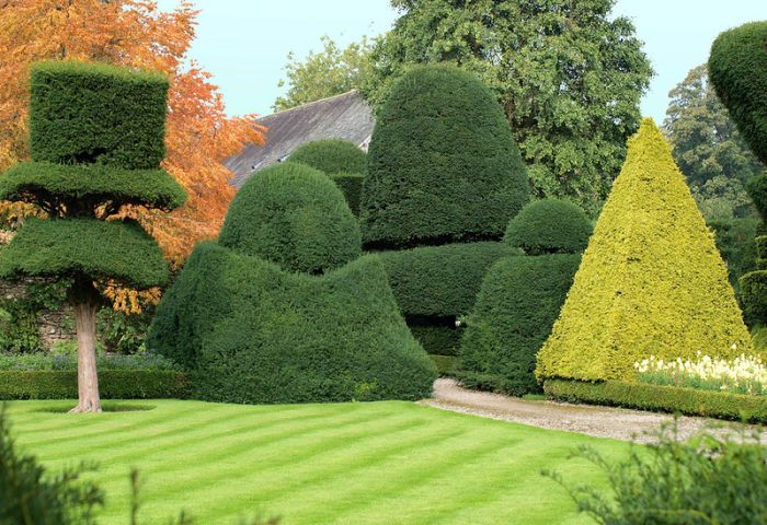 garden topiary plant art