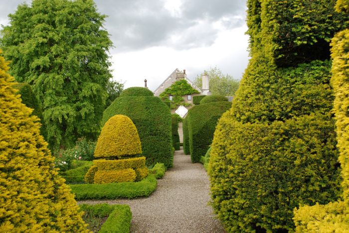 garden topiary plant art