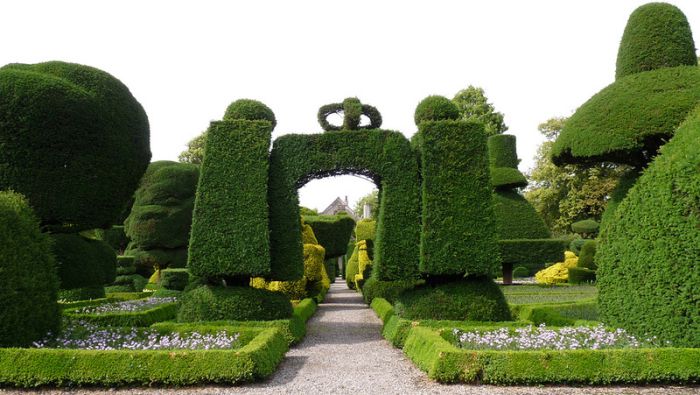 garden topiary plant art