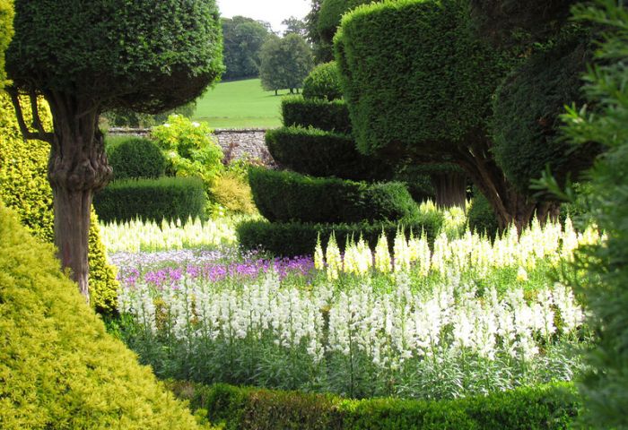 garden topiary plant art