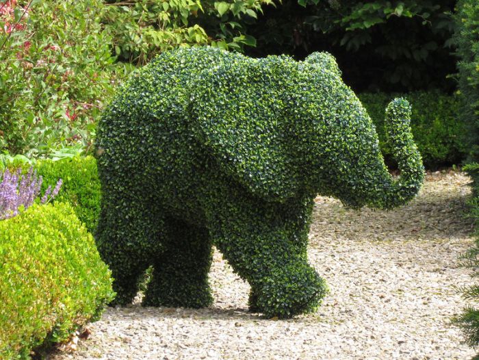 garden topiary plant art