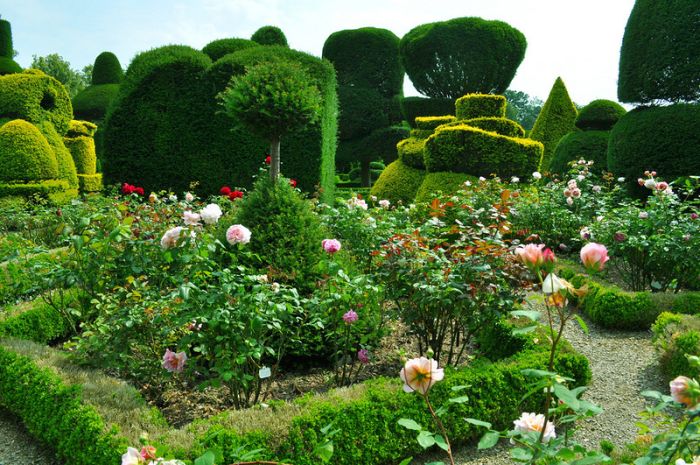 garden topiary plant art