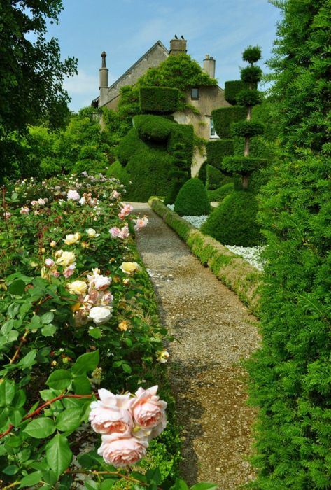 garden topiary plant art