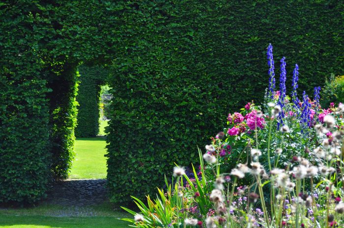 garden topiary plant art