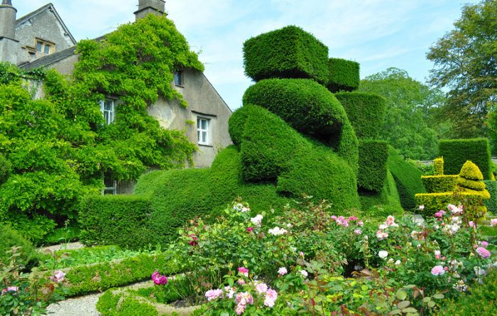 garden topiary plant art