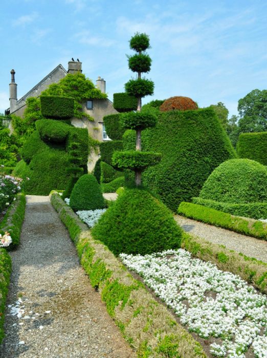 garden topiary plant art