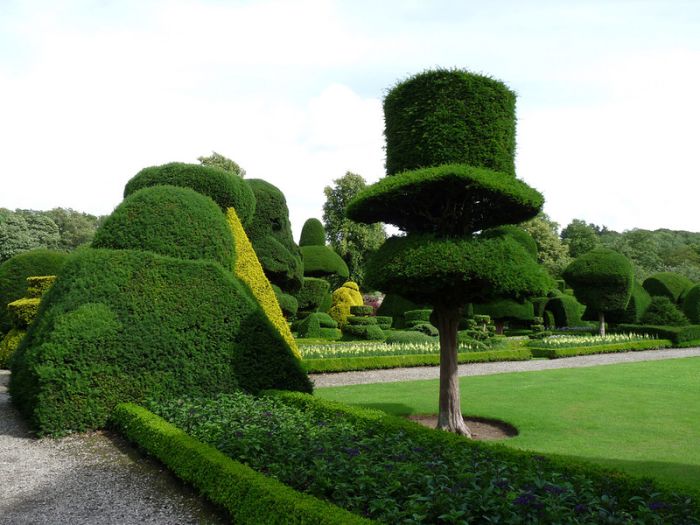 garden topiary plant art