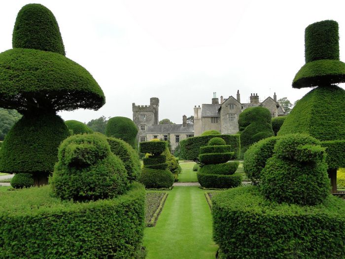 garden topiary plant art