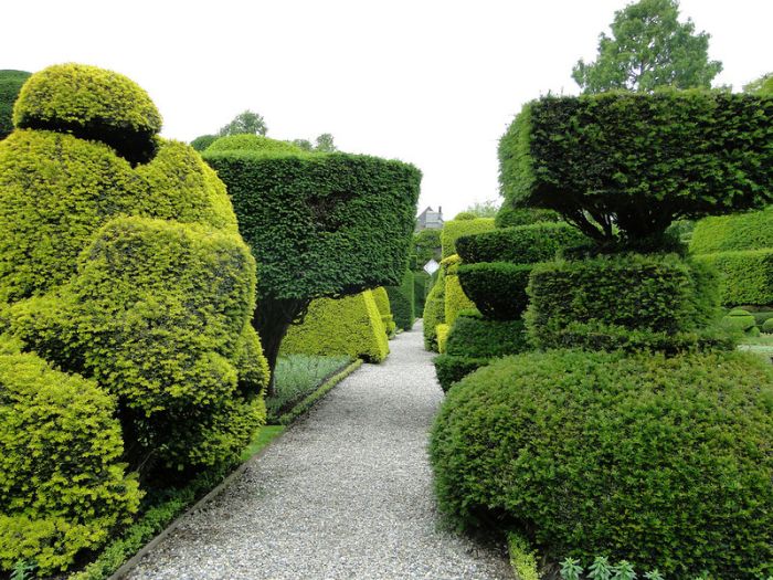 garden topiary plant art