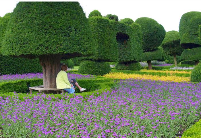 garden topiary plant art