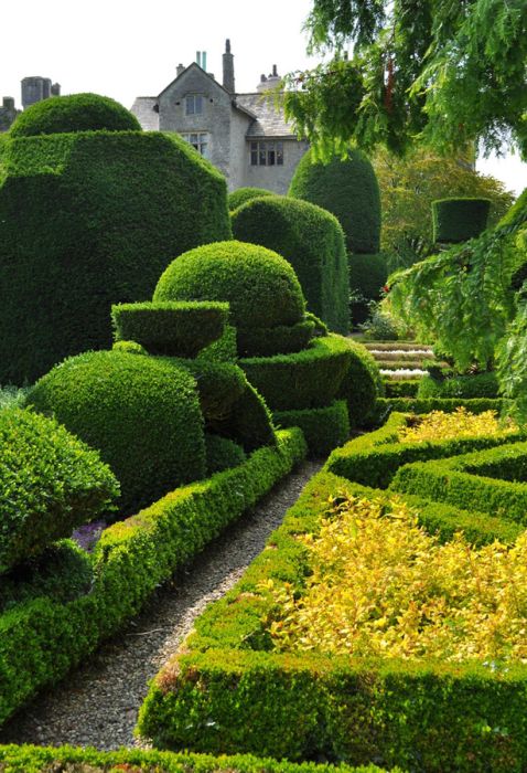 garden topiary plant art