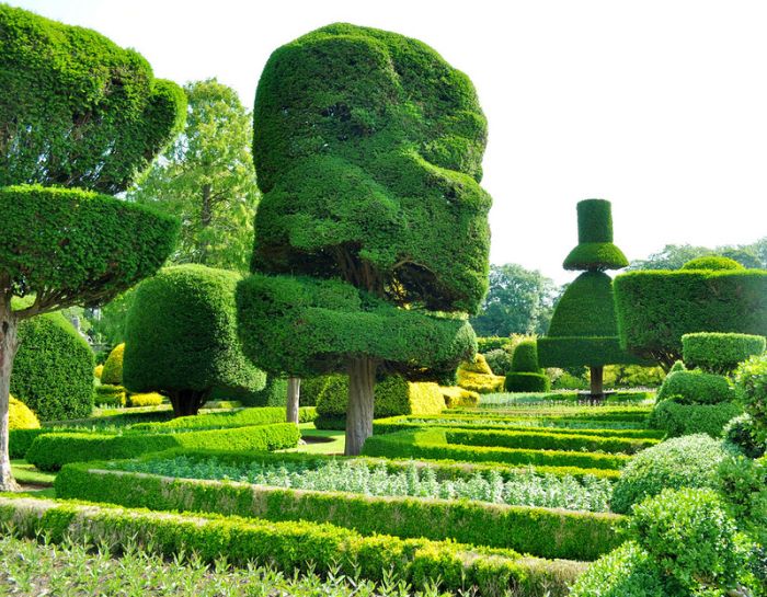 garden topiary plant art