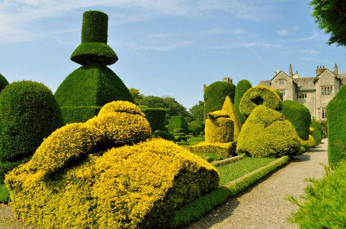 garden topiary plant art