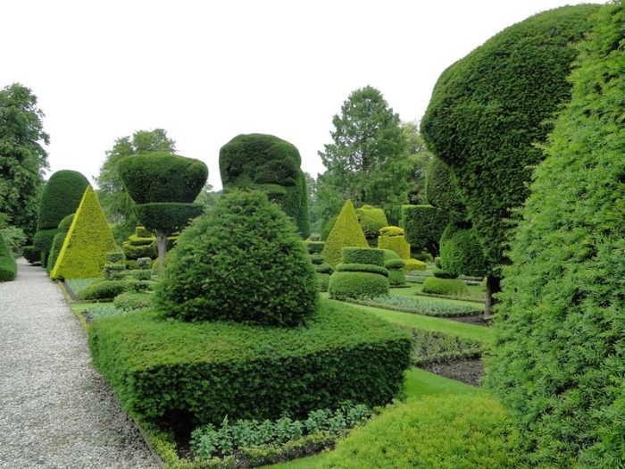 garden topiary plant art