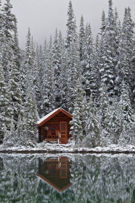 log cabin house