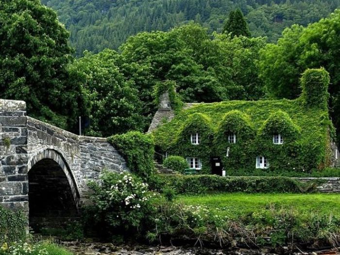 unusual house