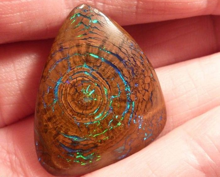 opalized wood boulder opal