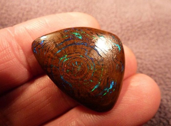 opalized wood boulder opal