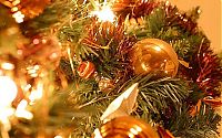 Architecture & Design: christmas card and decoration