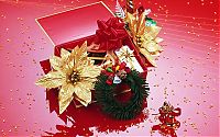 Architecture & Design: christmas card and decoration