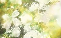 Architecture & Design: christmas card and decoration
