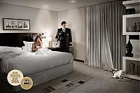 Architecture & Design: bad food, bad dog advertisement